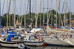 Europe - Sweden - Sailboats in the harbour