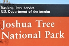 Joshua Tree Park, Kalifornie
