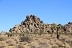 Joshua Tree Park. Po vjezdu do parku se začínají objevovat stromy Joshua Tree. 