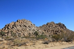 North America - USA - California - Joshua Tree Park.