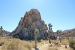 Severní Amerika - USA - Kalifornie - Joshua Tree Park.