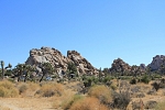 Severní Amerika - USA - Kalifornie - Joshua Tree Park. Místo pro piknik. V parku není obchod, nezapomeňte si přivézt svačinu i pití.