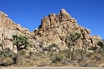 Severní Amerika - USA - Kalifornie - Joshua Tree Park.