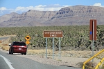 North America - USA - Arizona - Entering the Joshua tree forest area.